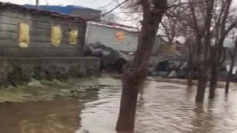 Diyarbakırda sağanak sonucu dere taştı Evler, ahırlar sular altında kaldı