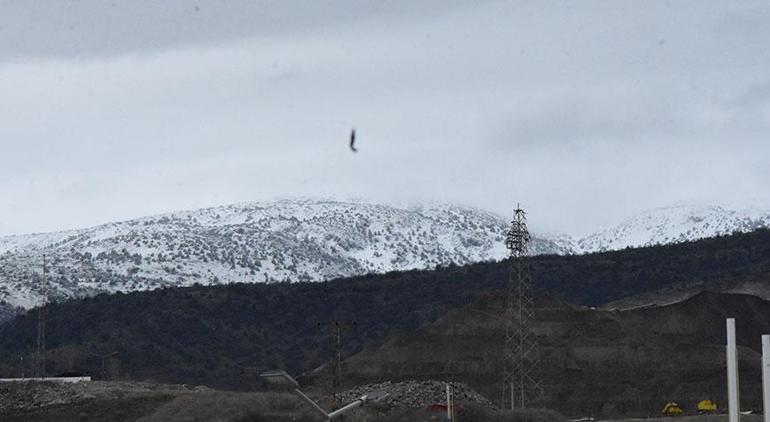 Erzincandaki maden faciası Yeni toprak kaymaları yaşanıyor, şirketin Türkiye müdürü gözaltına alındı