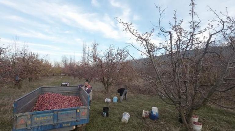 Görünce traktörün altına girdi: İlk köylülere saldırıyorlar