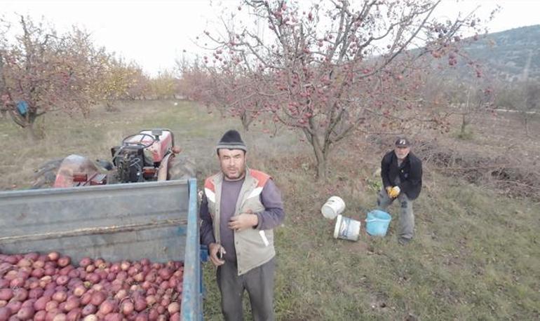 Görünce traktörün altına girdi: İlk köylülere saldırıyorlar