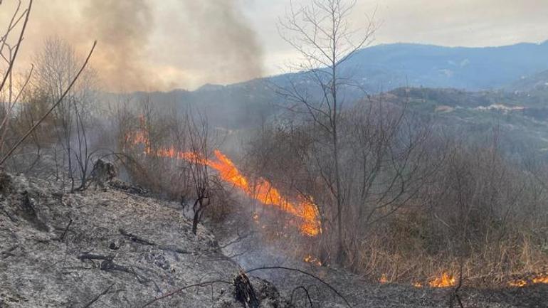 Artvin’de orman yangını 1 hektarlık alan kullanılamaz hale geldi