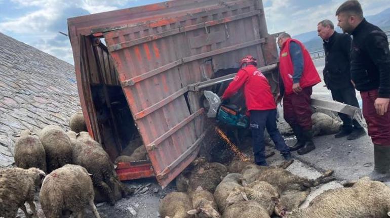Balıkesirde korkunç kaza 1 kişi öldü, 2 kişi yaralandı, 52 koyun da telef oldu