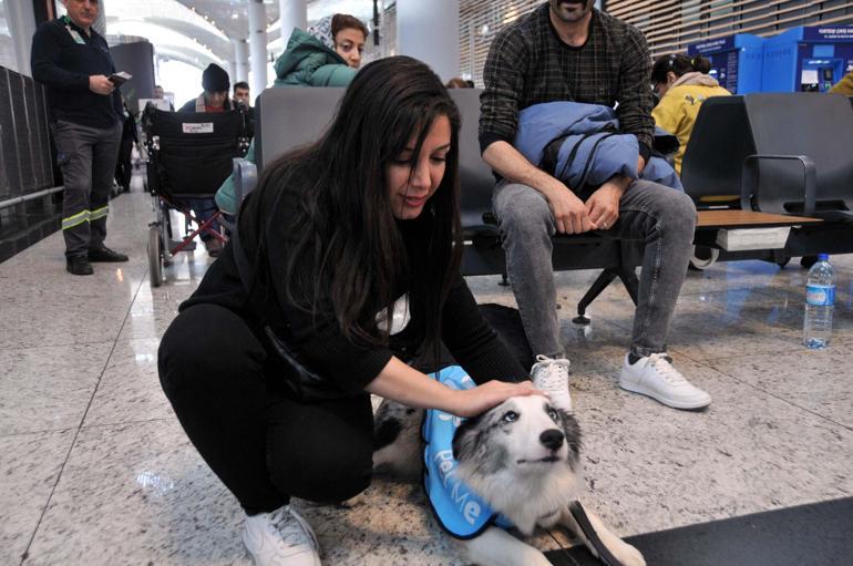 Türkiyede bir ilk Terapi köpekleri iş başında
