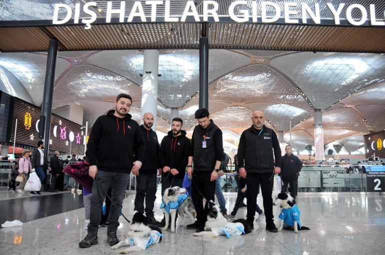 Türkiyede bir ilk Terapi köpekleri iş başında
