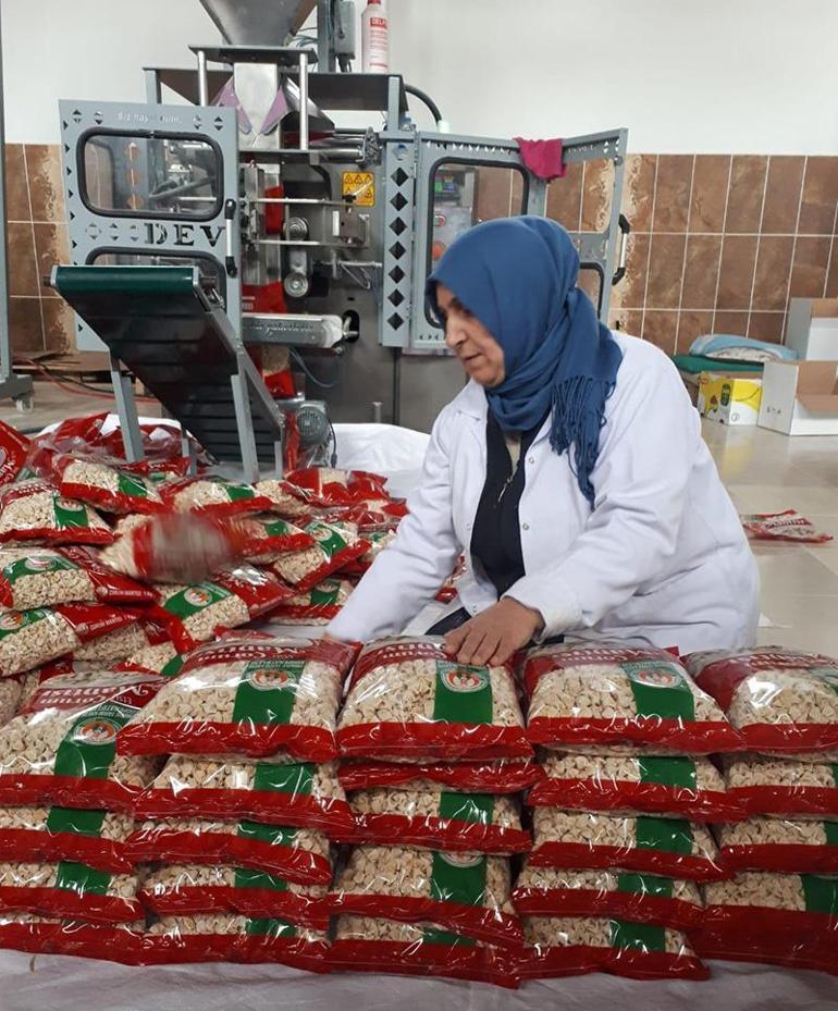 7 kadınla 25 milyon liralık mantı fabrikası kurdu Bir torba una muhtaçtık, veresiye aldık