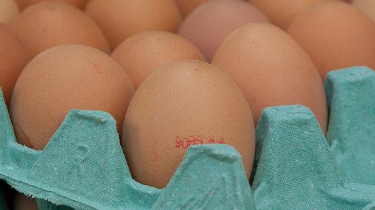 Yumurta üzerindeki rakamların sırrı ortaya çıktı Organik yumurtayı kod numaralarıyla ayırt edin