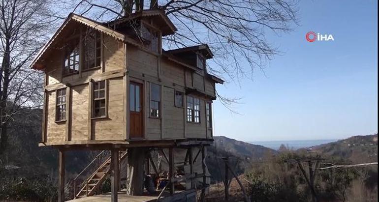 150 yıllık ağacın gövdesine 2+1 ev yaptı İnşaat mühendisleri şaşkına döndü: Bu imkansız