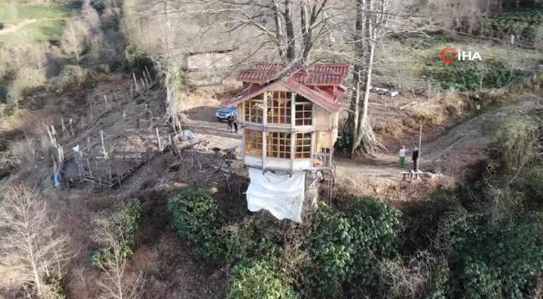 150 yıllık ağacın gövdesine 2+1 ev yaptı İnşaat mühendisleri şaşkına döndü: Bu imkansız