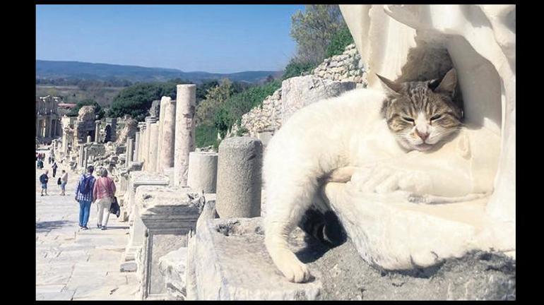 Efes’te karateyle kırılan sütun