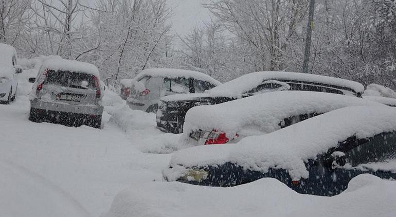Bitliste eğitime kar engeli Okullar tatil edildi