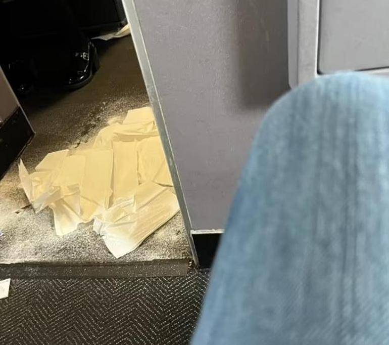 Uçağın koridoruna pisleyen köpek acil iniş yaptırdı Koku bir türlü geçmedi