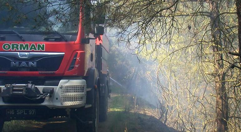 Bursada orman yangını Ekiplerin müdahalesiyle 2 saatte kontrol altına alındı