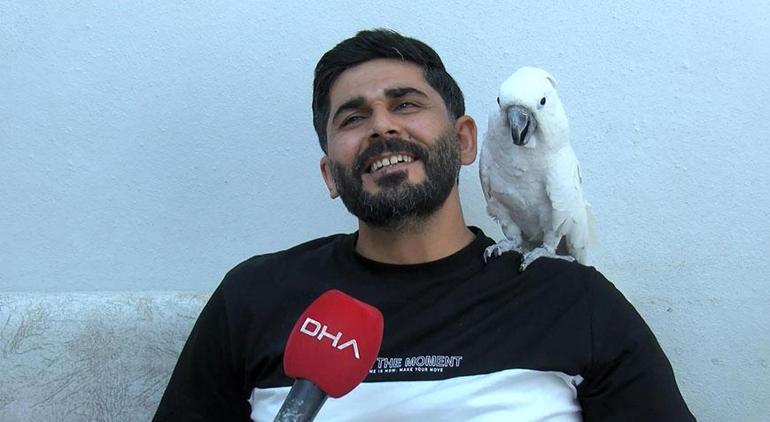Bir yıl boyunca 50 kelime öğretti Papağan ‘Osman’ı kendinden geçiren ilahi
