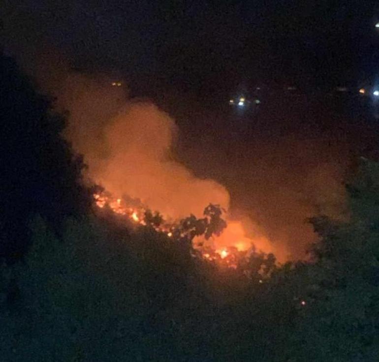 Yalovada korkutan orman yangını 2 kişi gözaltına alındı