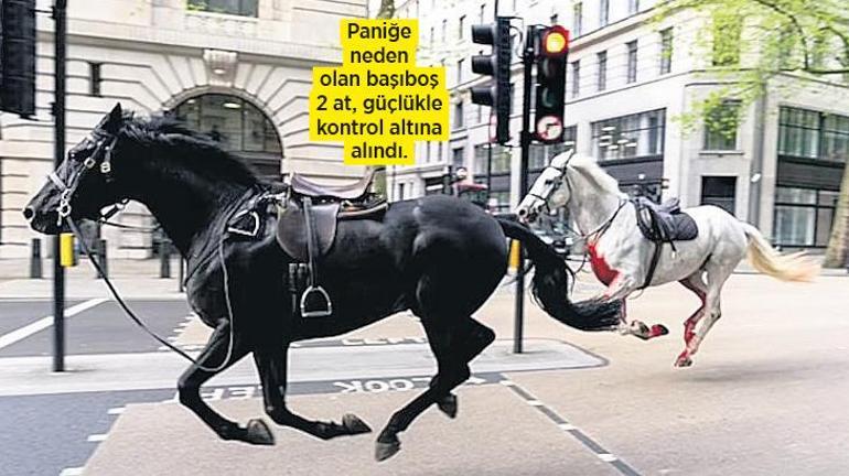İki ingiliz atı firar etti... Londra sokaklarını birbirine kattılar