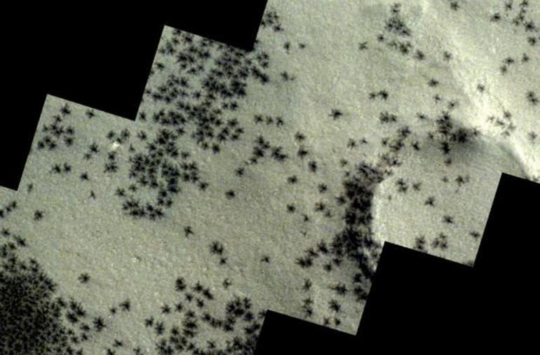 Marsta örümcekler görüldü Uzay aracı yakaladı, eşi benzeri yok