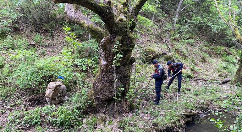 316 gün sonra Korhan Berzegin öldüğü kesinleşti 1 kafatası ve 3 kemik parçası bulundu