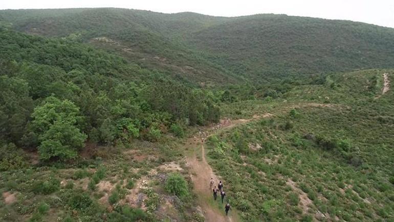 Berzege ait 12 kemik ve kafatası toprağa verilecek Sırtlan saldırısı ihtimali gündemde