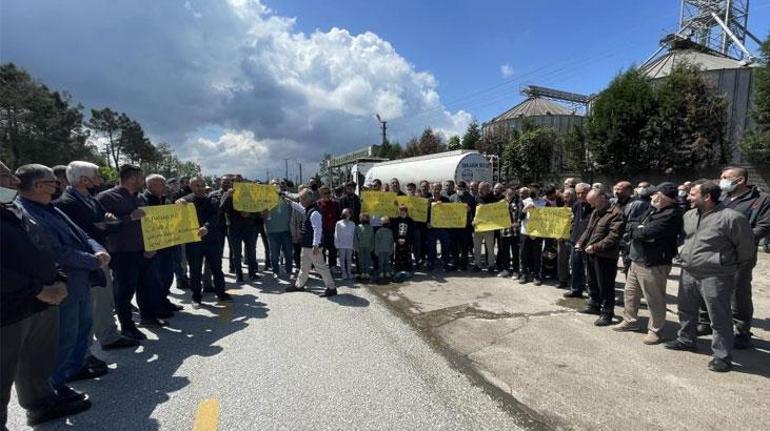 Sakaryada bir mahalle ayakta: Balıklar öldü, sıra çocuklarda