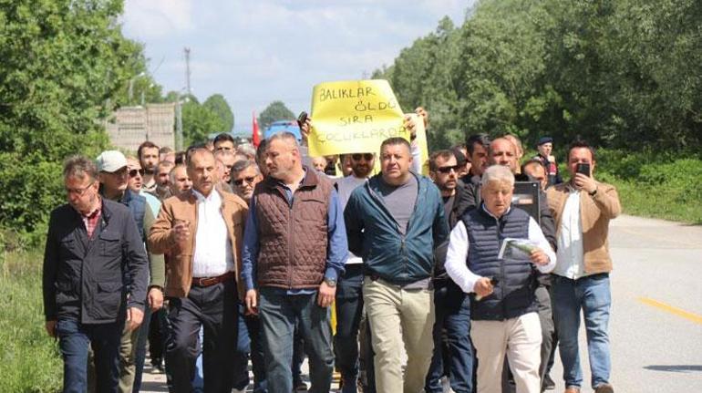 Sakaryada bir mahalle ayakta: Balıklar öldü, sıra çocuklarda