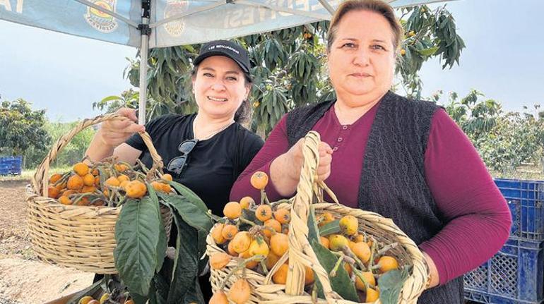 Pazar alanı gün sayıyor