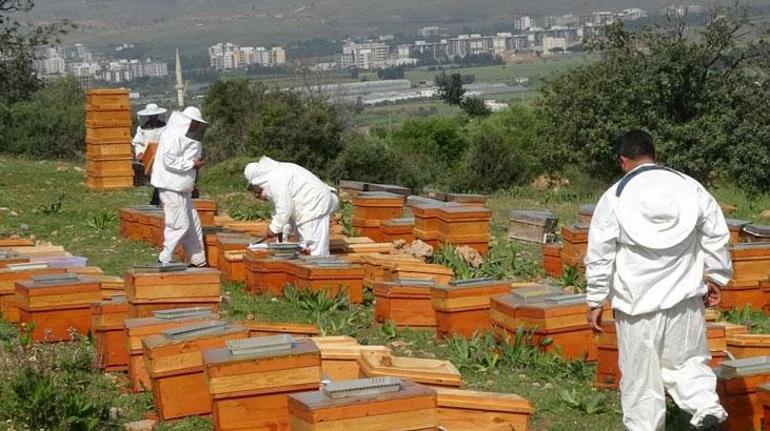 300 TL altında satılıyorsa dikkat: Tüketicinin sağlığıyla oynuyorlar