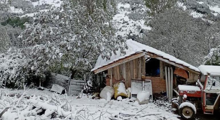 Mayıs ayında kar sürprizi Bolu, Çorum, Ardahana lapa lapa kar yağdı