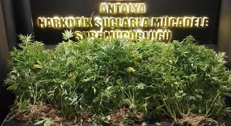 Antalyada uyuşturucu operasyonu 75 kişi gözaltına alındı