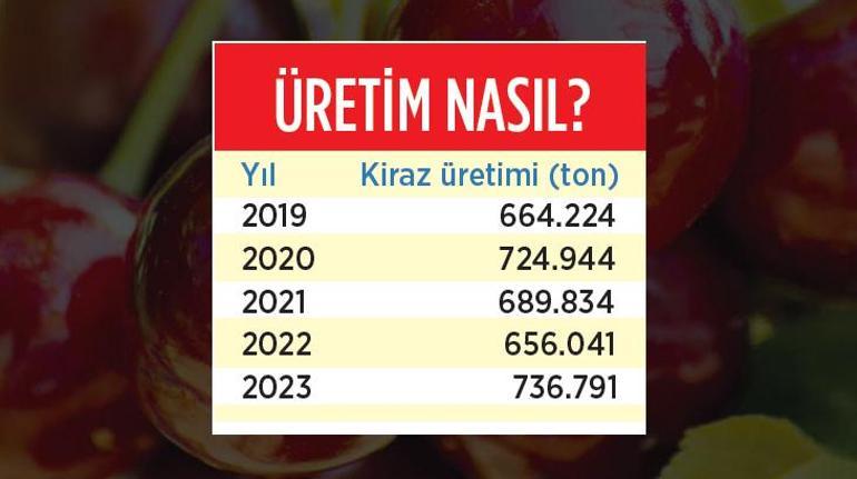 Kirazı kim toplayacak