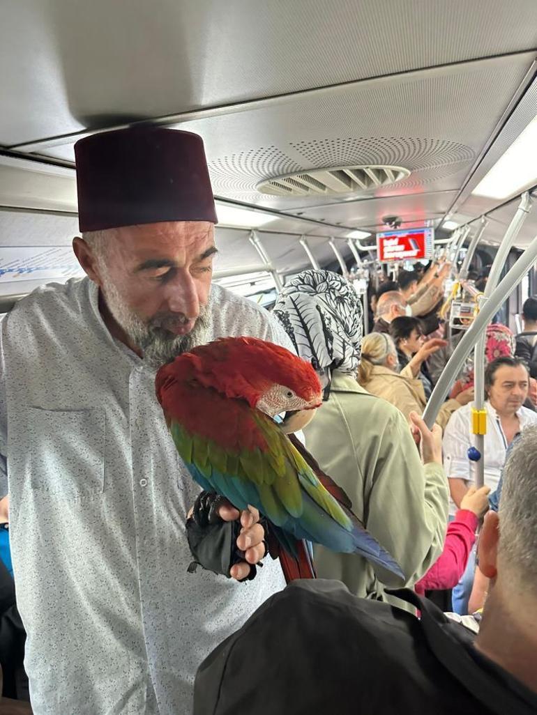 Metrobüste papağan şaşkınlığı