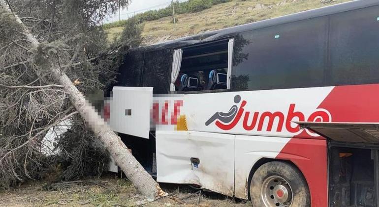 Ispartada kontrolden çıkan yolcu otobüsü ağaca çarptı Yaralılar var