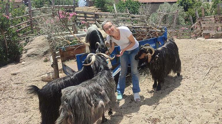 Tilki yakalayıp öldüren komşusunu ihbar etti, olanlar oldu