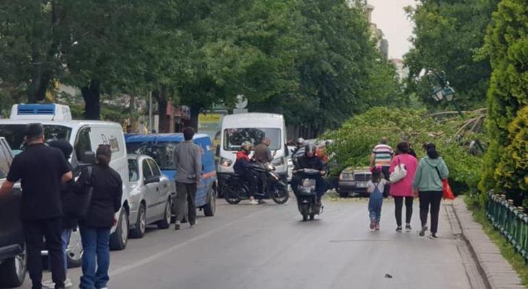 Feci olay Ağacın kırılan dalı, kırmızı ışıkta bekleyen otomobilin üzerine düştü