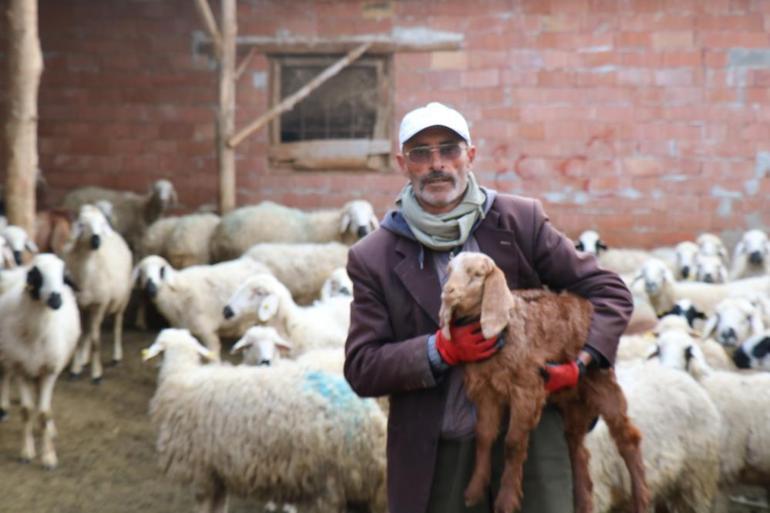 Muhtar olamadı, fenomen oldu Başına gelmeyen kalmadı