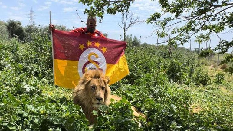 Galatasaray’ın şampiyonluğunu evde beslediği aslanlarıyla kutladı