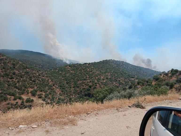 Manisada korkutan yangın Müdahale devam ediyor