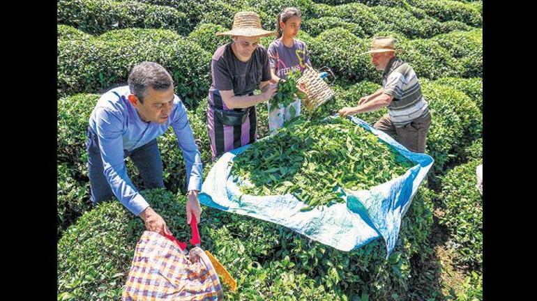 Çay üreticisinin elini havada bırakmayın