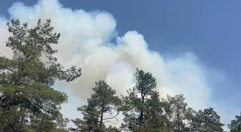 Son dakika... 2 ilde orman yangını Havadan ve karadan müdahale ediliyor