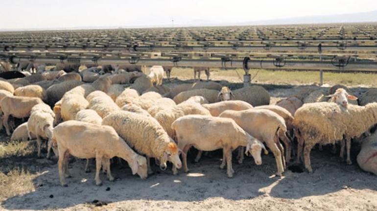 ‘Sürdürülebilir geleceği birlikte tasarlayalım’