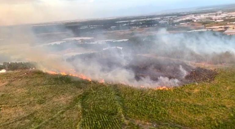 Antalyanın Aksu ilçesinde ormanlık alanda yangın çıktı