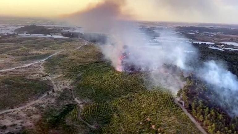 Antalyanın Aksu ilçesinde ormanlık alanda yangın çıktı