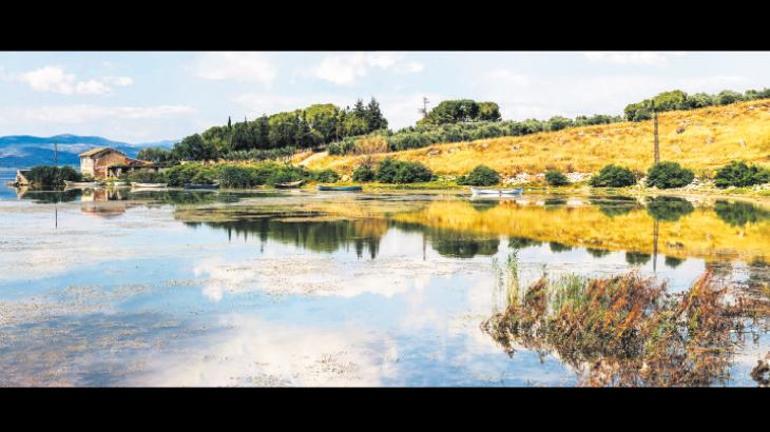 Marmara Gölü’nden buğday tarlasına