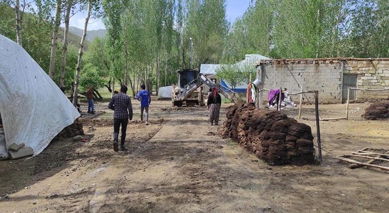 Vanı sağanak vurdu 52 hayvan öldü, 10 ev ile ahır hasar gördü