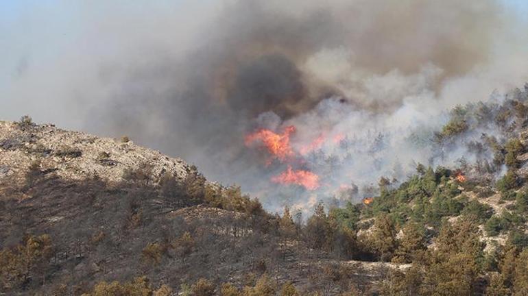 Pamukkalede arıları uzaklaştırmak isterken ormanı yaktı Ekipler kontrol altına aldı