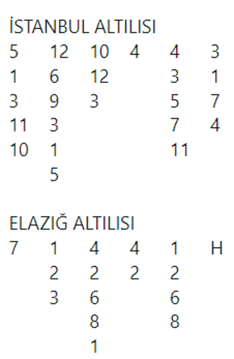 Biletçi Kız