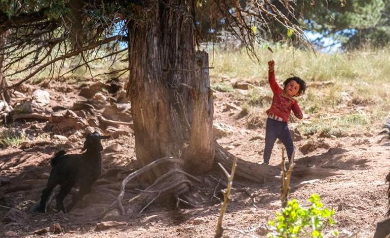 Dağda 10 çocuk büyüttü: Şimdiye kadar ne hastalık ne ilaçla tanıştı