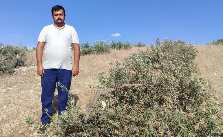 1 yıl sonra aynı kabusu yaşadı Tarlaya gitti, gözlerine inanamadı