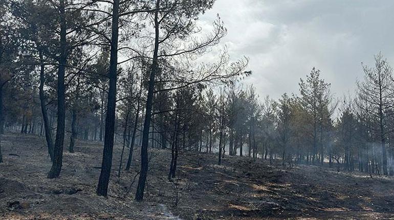 Aydında yangına müdahale eden uçak suya sert iniş yaptı