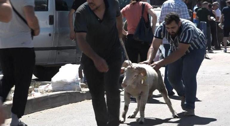 Oto pazarını aratmayan yoğunluk Kilometrelerce araç kuyruğu oluştu