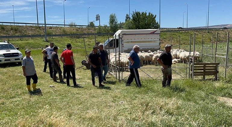 Kayseri’de sattığı kurbanlıkların parasını hırsızlar çaldı